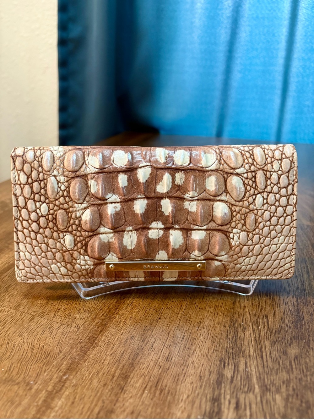 Brahmin EUC Ady - Doe Ombré - VERY HTF, Rare - Satin Finish & Feel - Like New